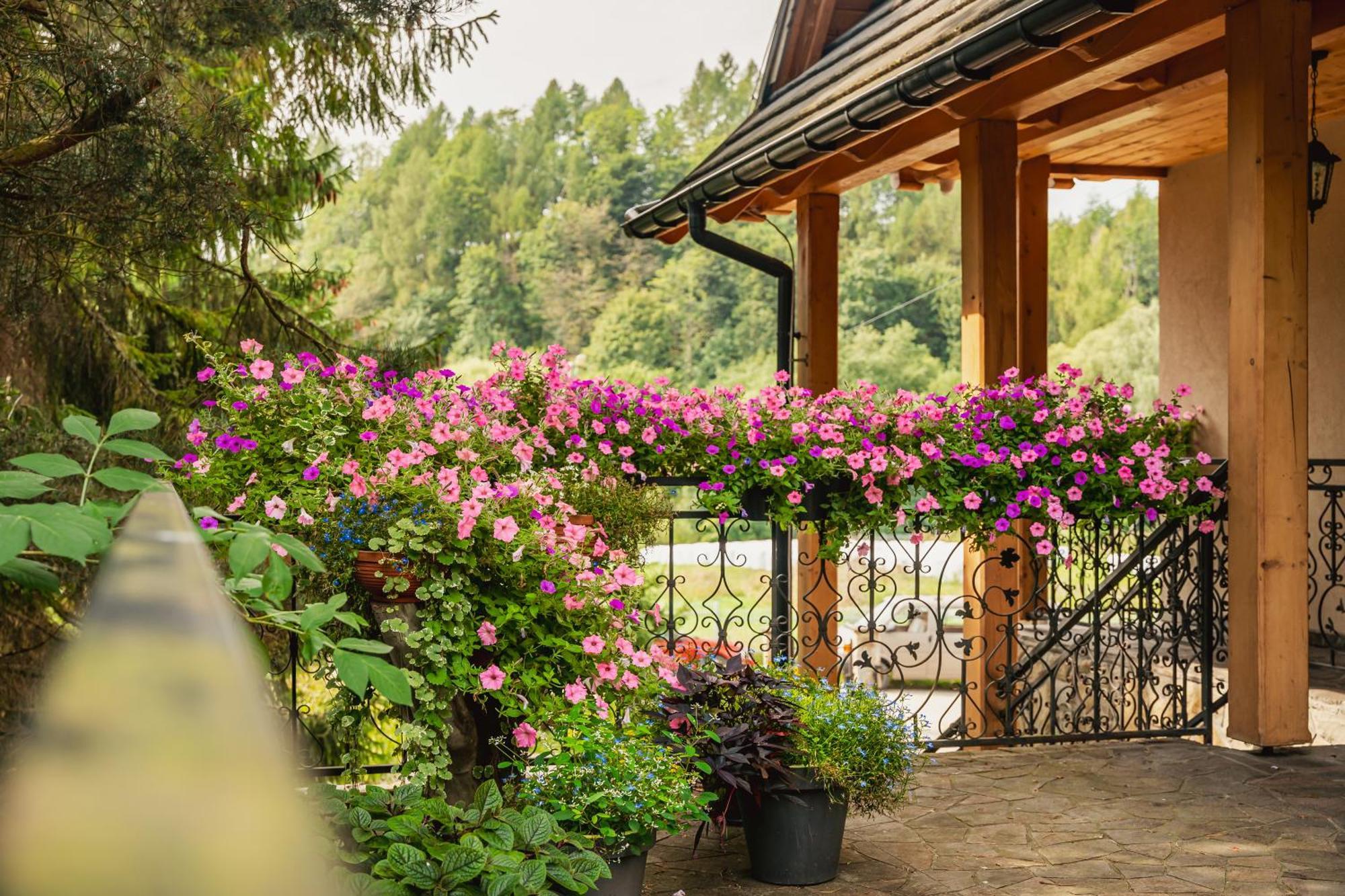 Apartamenty U Kukuca Szczawnica Exterior photo